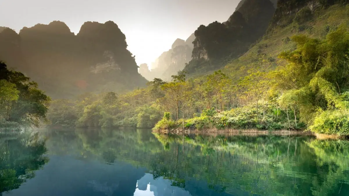 高性能独特可靠性